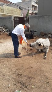 WhatsApp Image 2020-06-30 at 11.27.09 AM