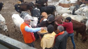 WhatsApp Image 2020-06-30 at 5.59.34 PM